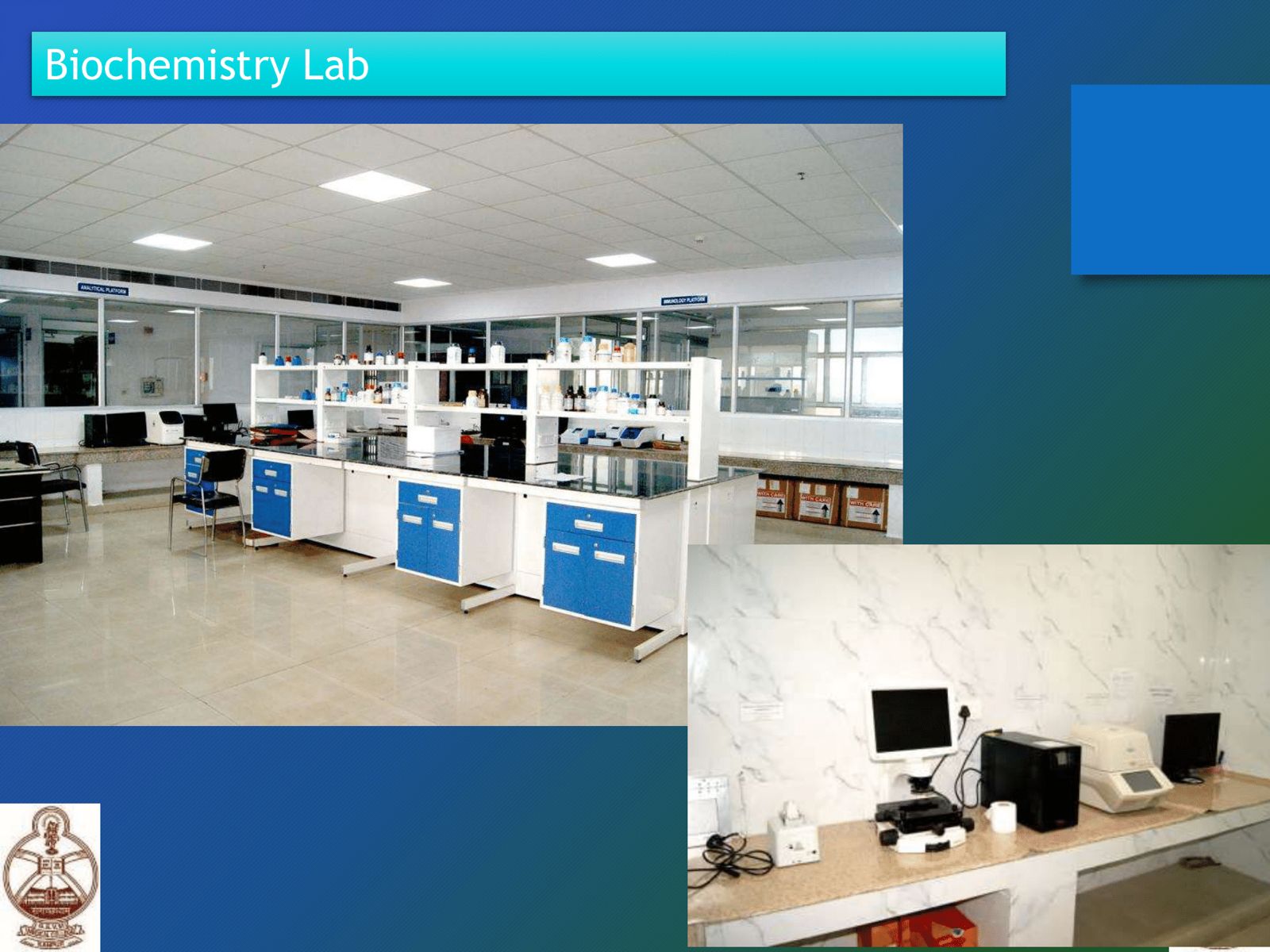 WhatsApp Image 2025-06-20 at 13.59.39 (1)