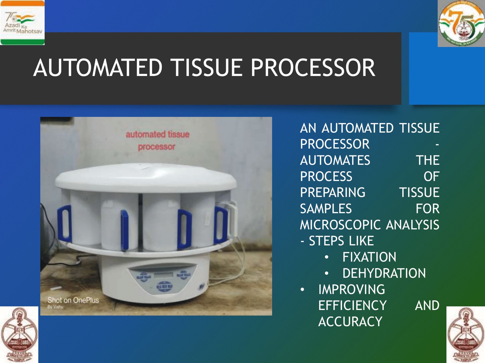 WhatsApp Image 2025-06-20 at 13.59.41 (1)