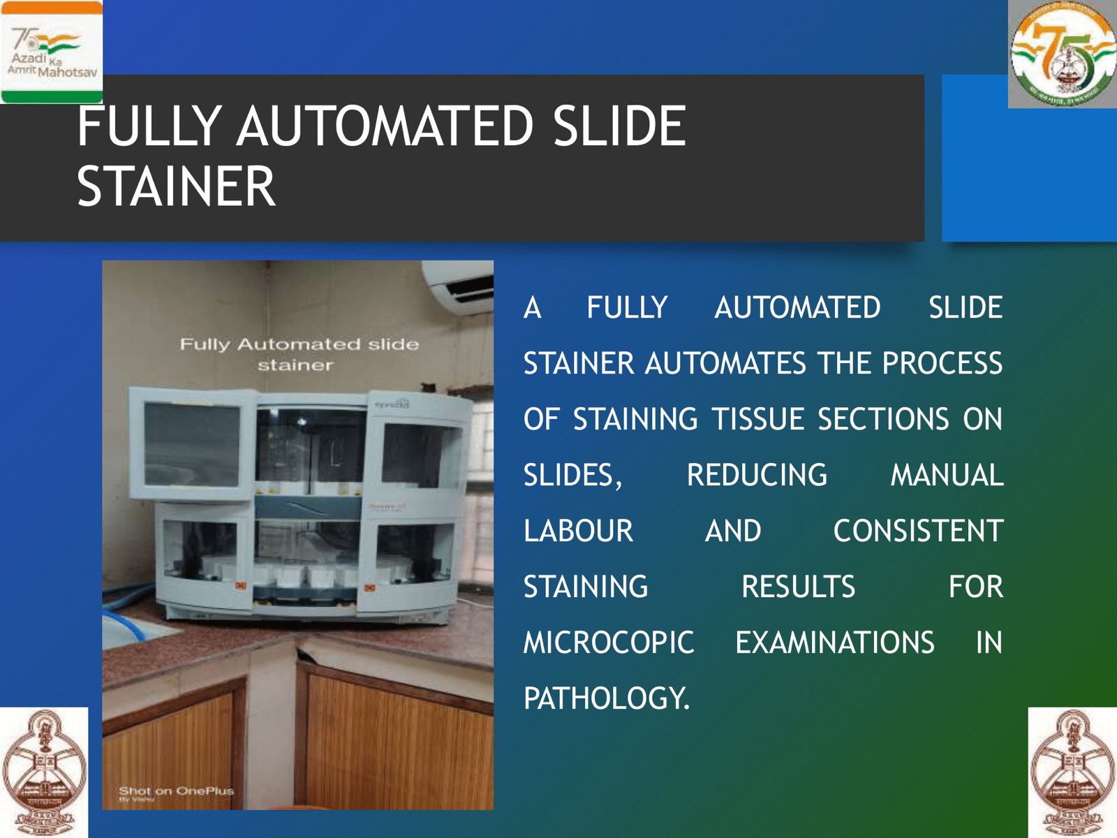 WhatsApp Image 2025-06-20 at 13.59.41