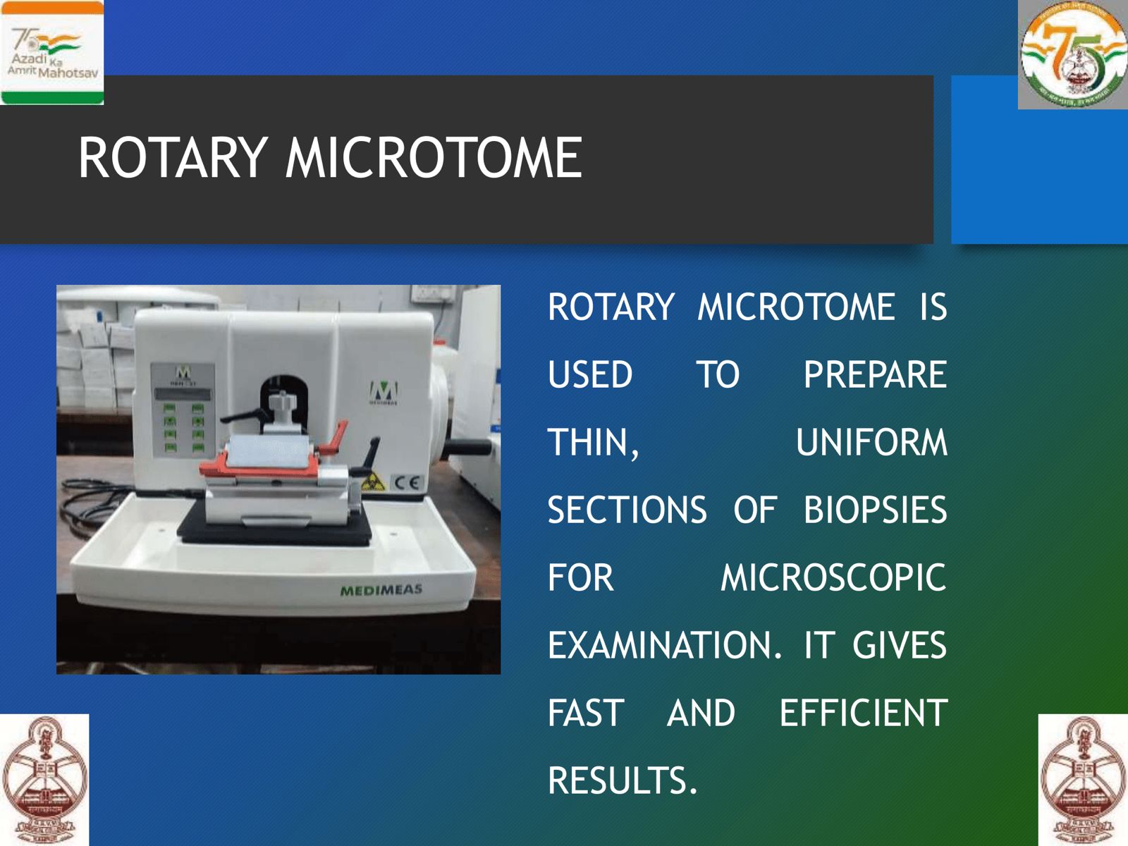 WhatsApp Image 2025-06-20 at 13.59.42 (1)