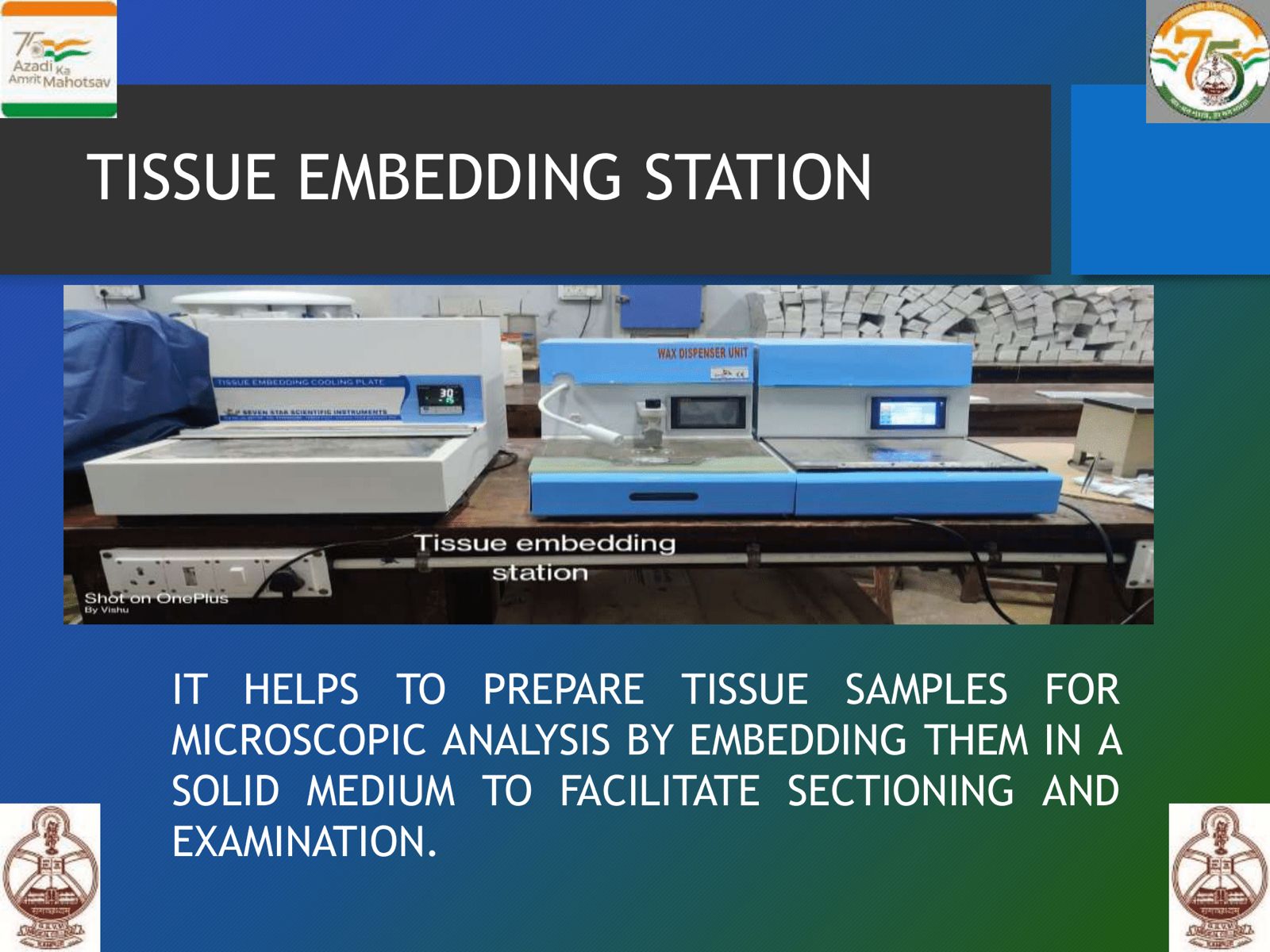 WhatsApp Image 2025-06-20 at 13.59.42