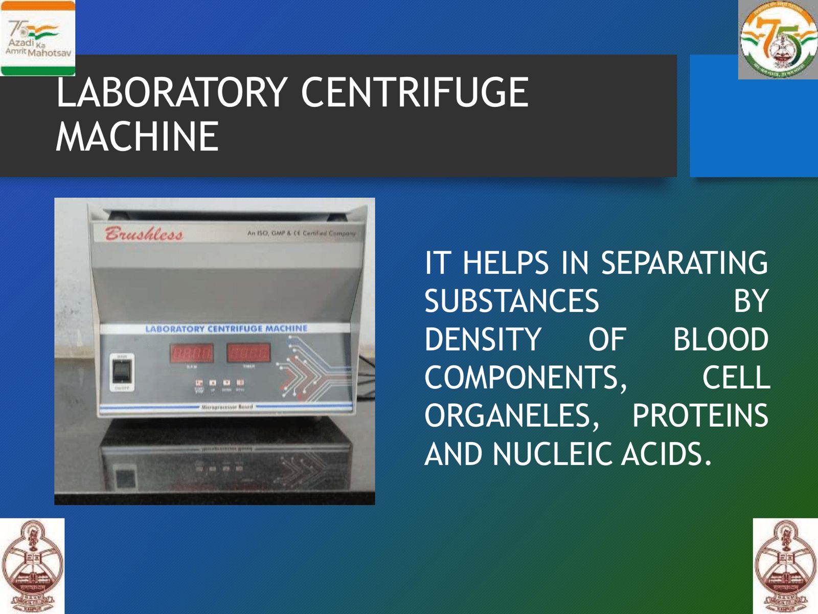 WhatsApp Image 2025-06-20 at 13.59.43