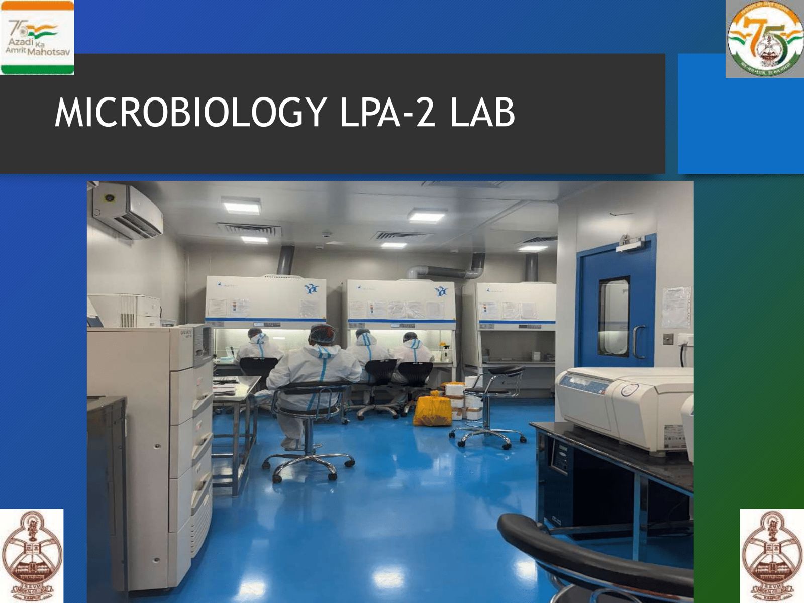 WhatsApp Image 2025-06-20 at 13.59.44 (1)