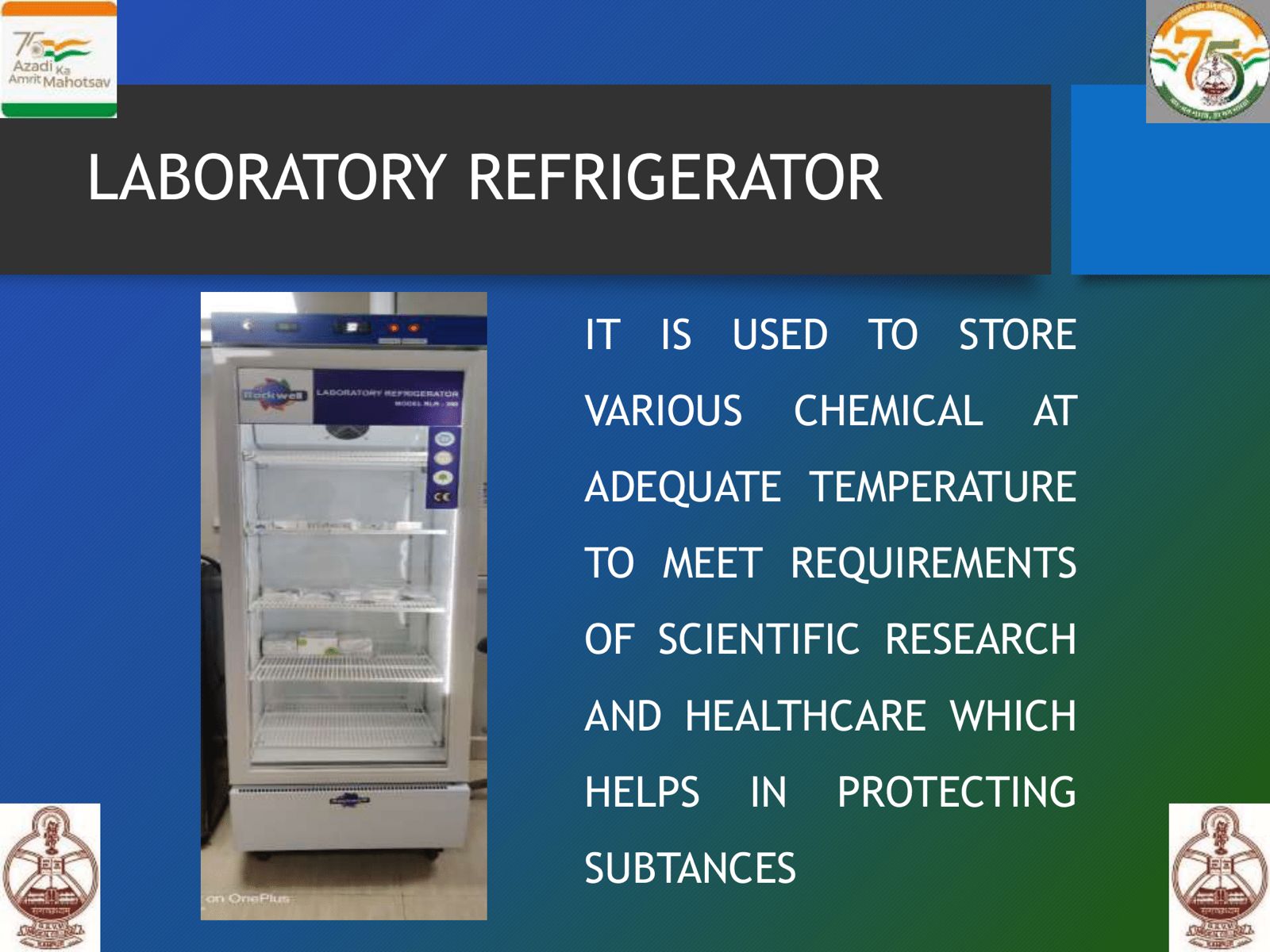 WhatsApp Image 2025-06-20 at 13.59.44