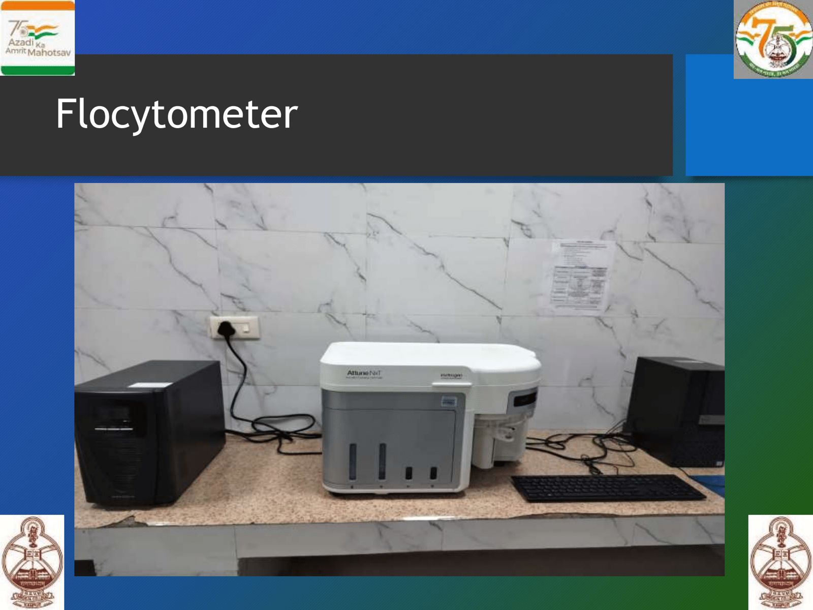 WhatsApp Image 2025-06-20 at 14.01.11