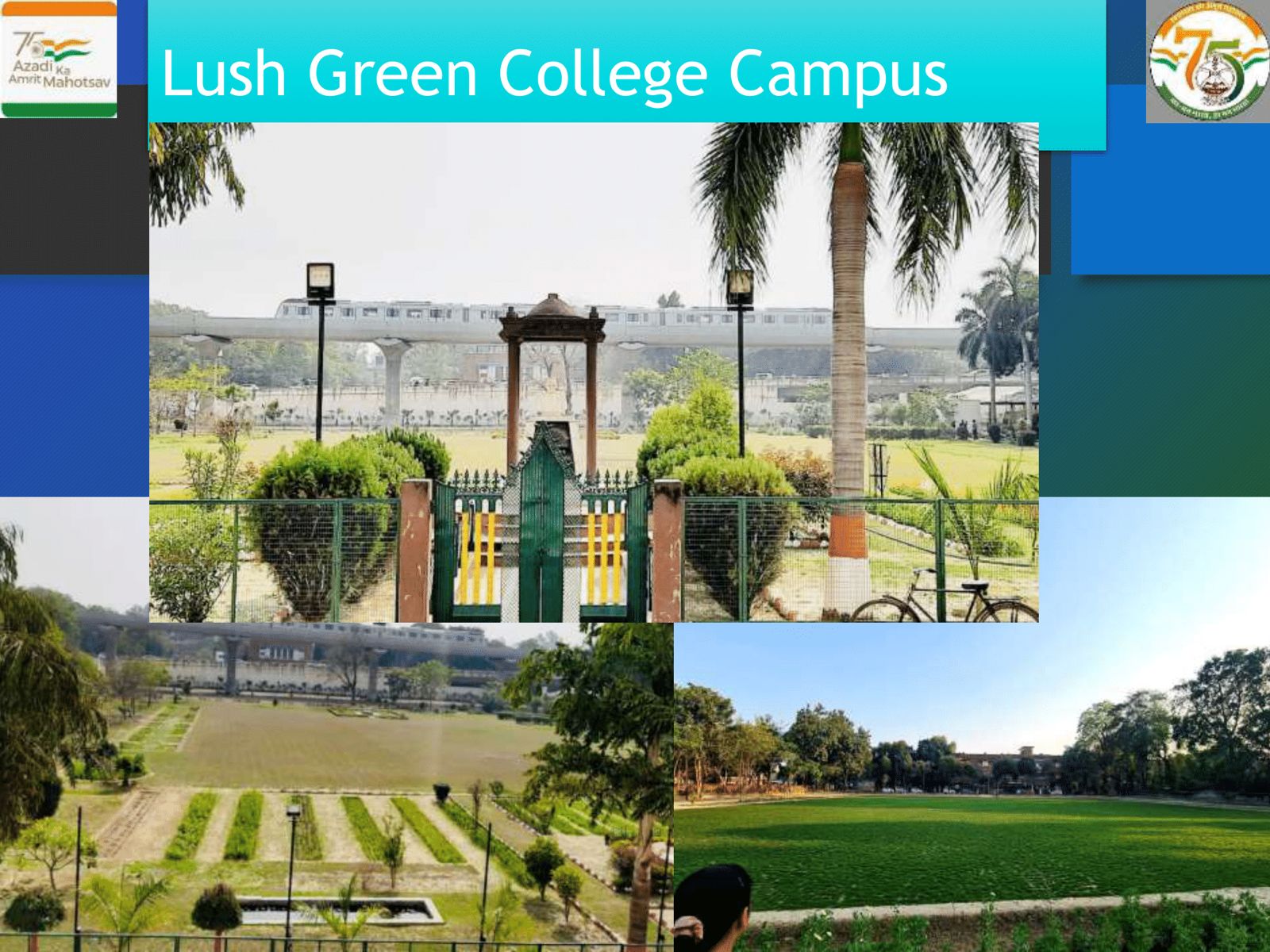 WhatsApp Image 2025-06-20 at 14.01.13