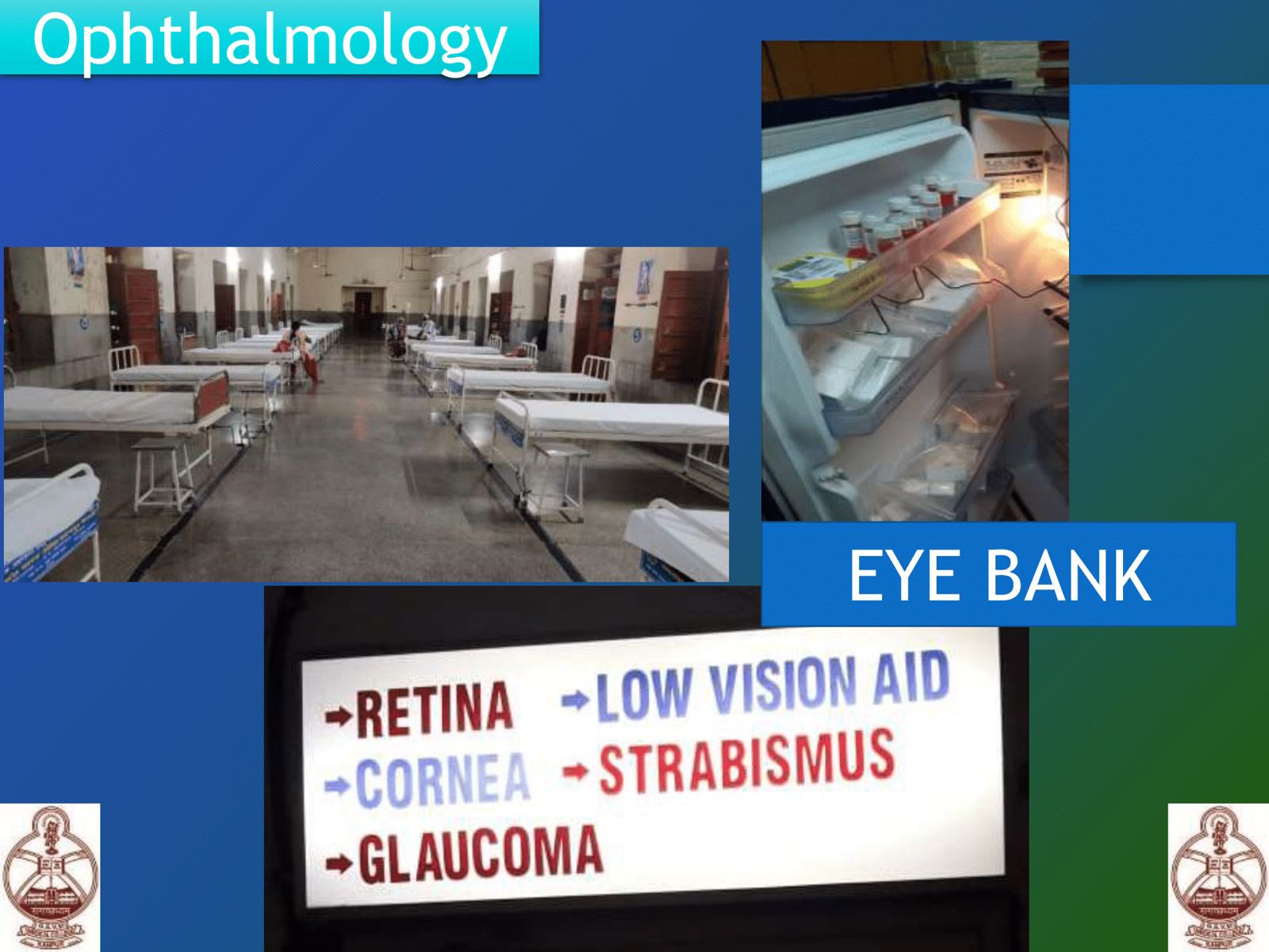 WhatsApp Image 2025-06-20 at 14.01.49