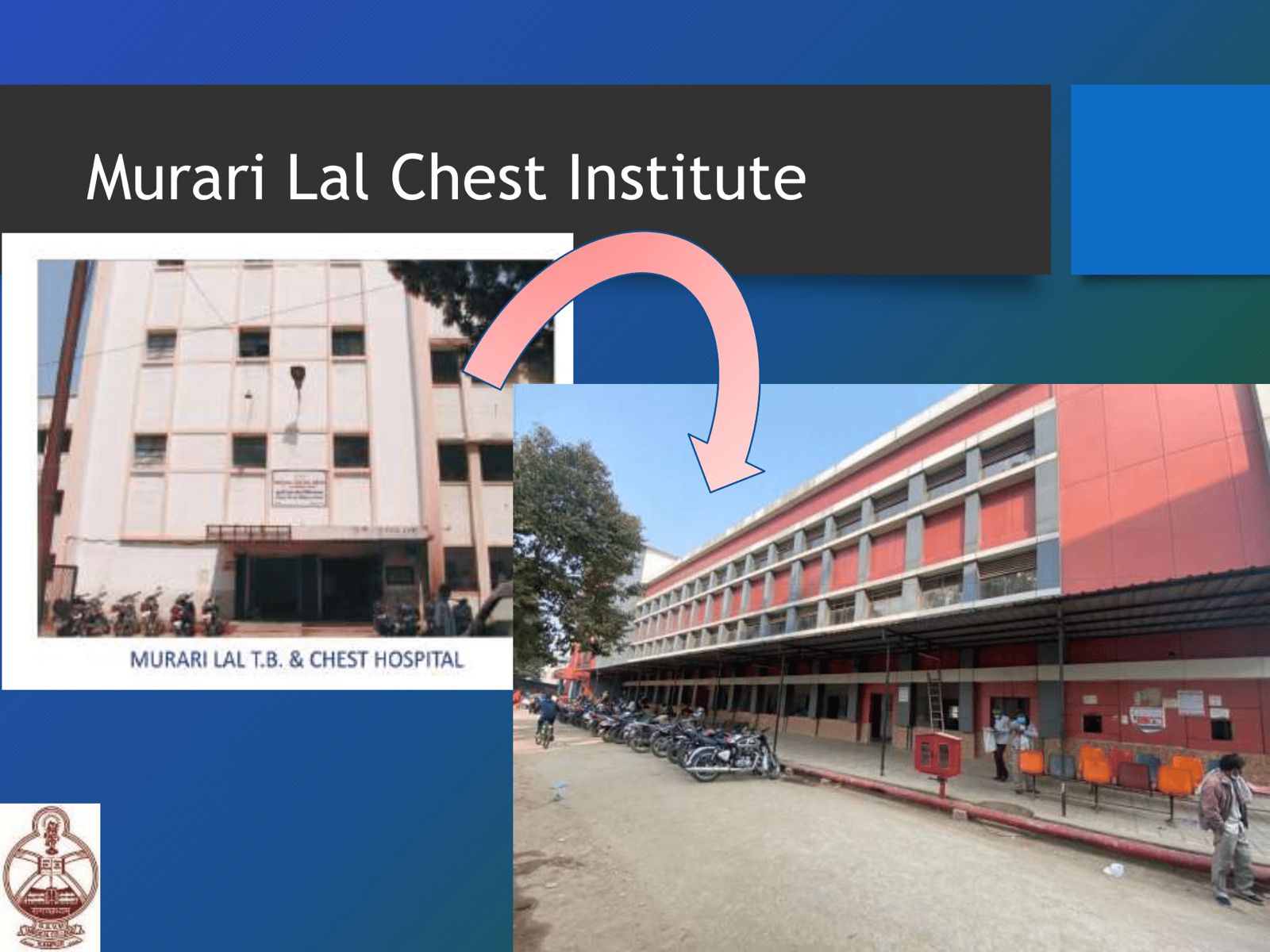 WhatsApp Image 2025-06-20 at 14.01.52